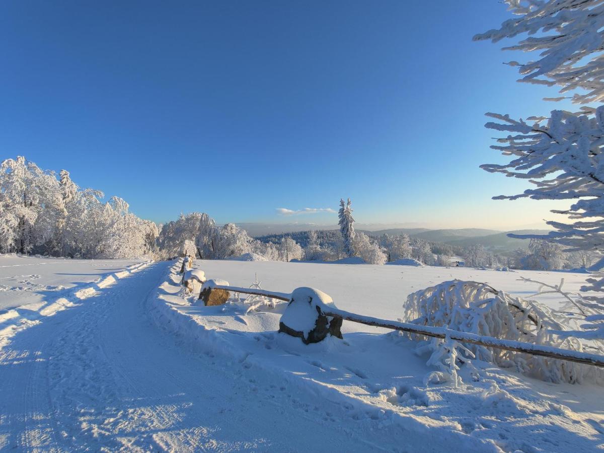 Wrzosowy Dwor - Spa Skomielna Czarna Exteriör bild