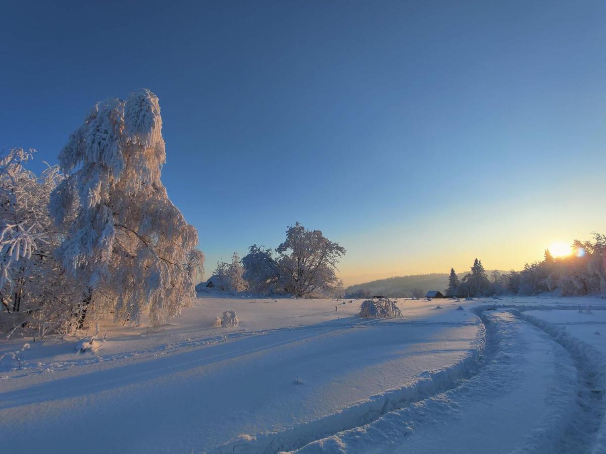 Wrzosowy Dwor - Spa Skomielna Czarna Exteriör bild