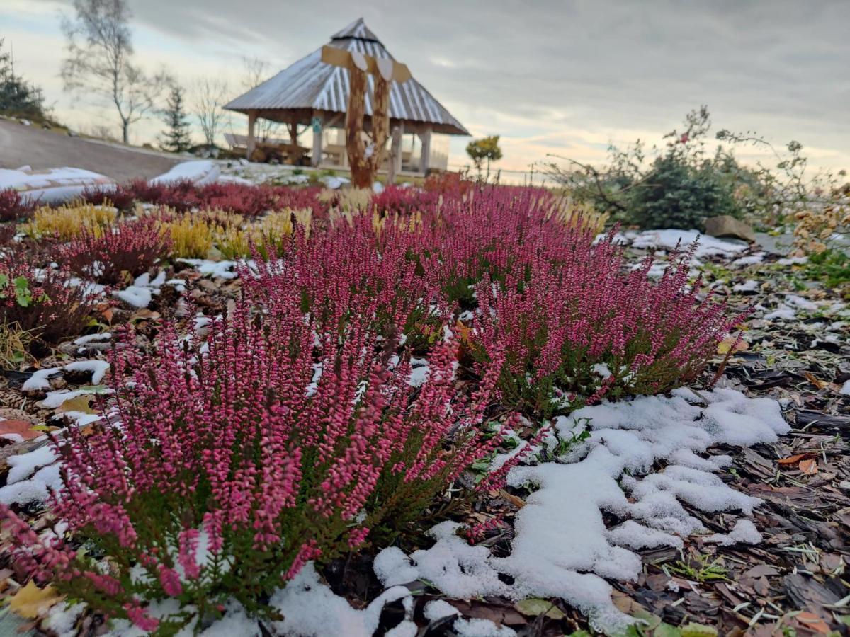 Wrzosowy Dwor - Spa Skomielna Czarna Exteriör bild